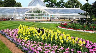 글래스고 식물원 (Glasgow Botanic Gardens)
